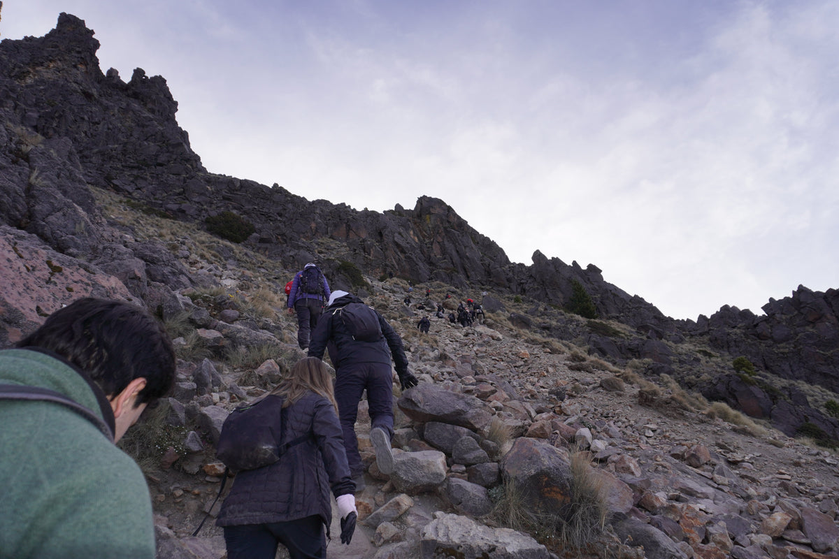 Arrancan los Tours Todo Incluido con Éxito: ¡Así Fue el Viaje al Nevado!