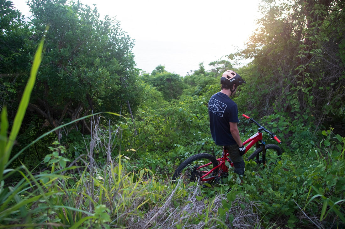 Desde la mística jungla, las vistas escénicas al océano y las largas tardes de verano. - OjoDeToro
