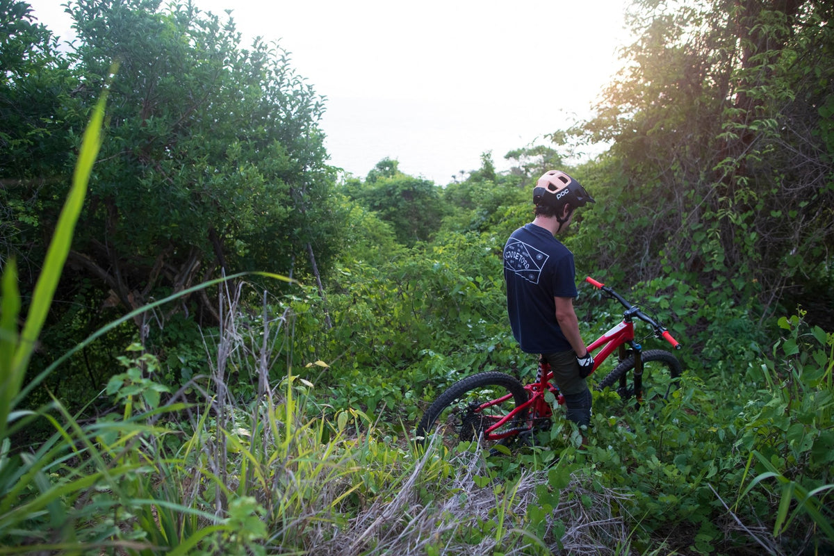Desde la mística jungla, las vistas escénicas al océano y las largas tardes de verano. - OjoDeToro