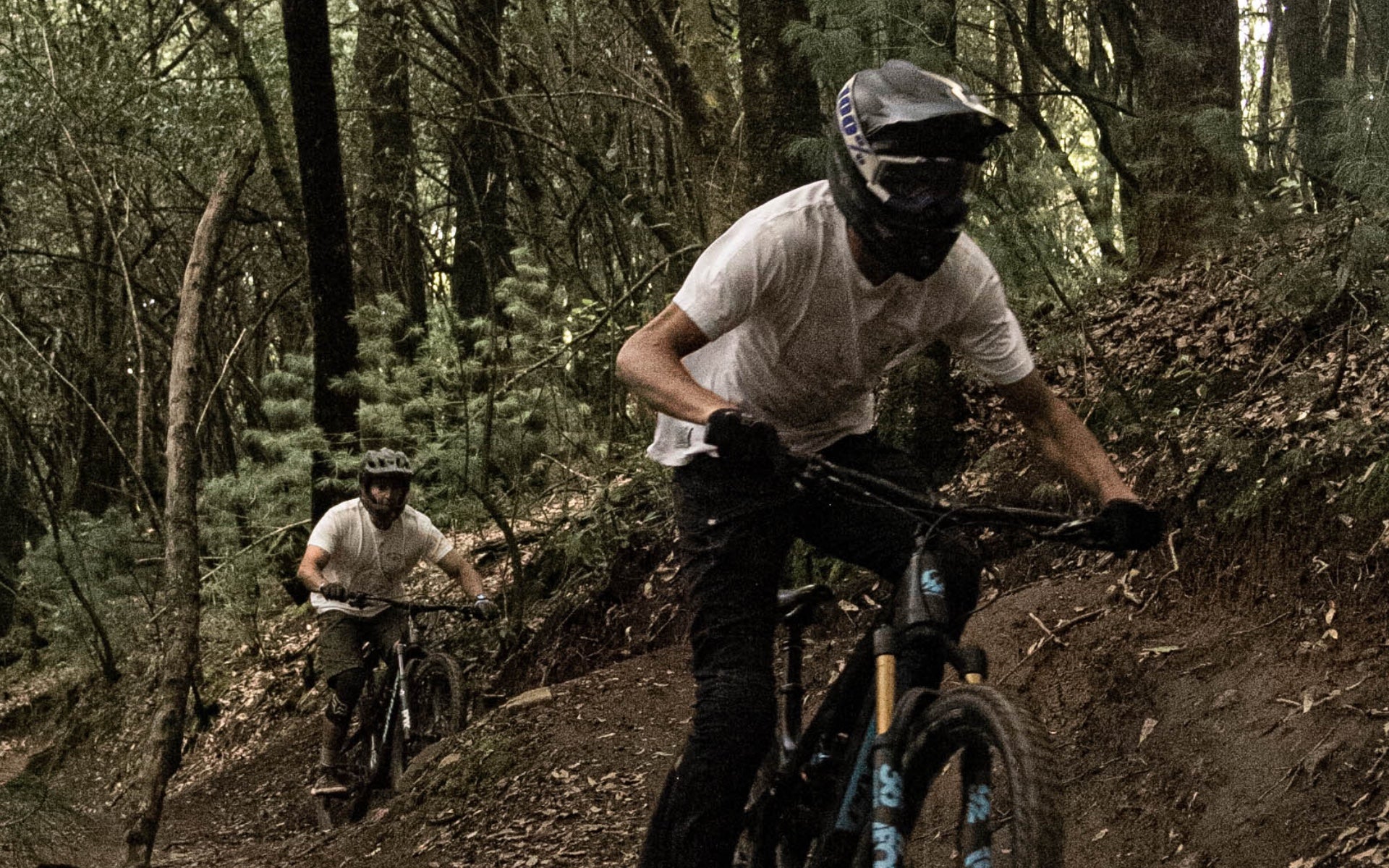 Desierto de los Leones