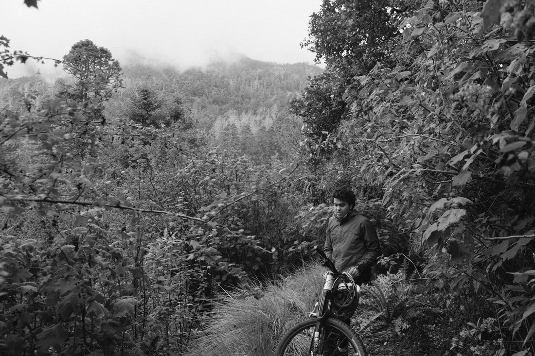 Escapando del Ruido. - OjoDeToro