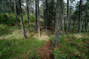 Ixtepeji, Oaxaca.