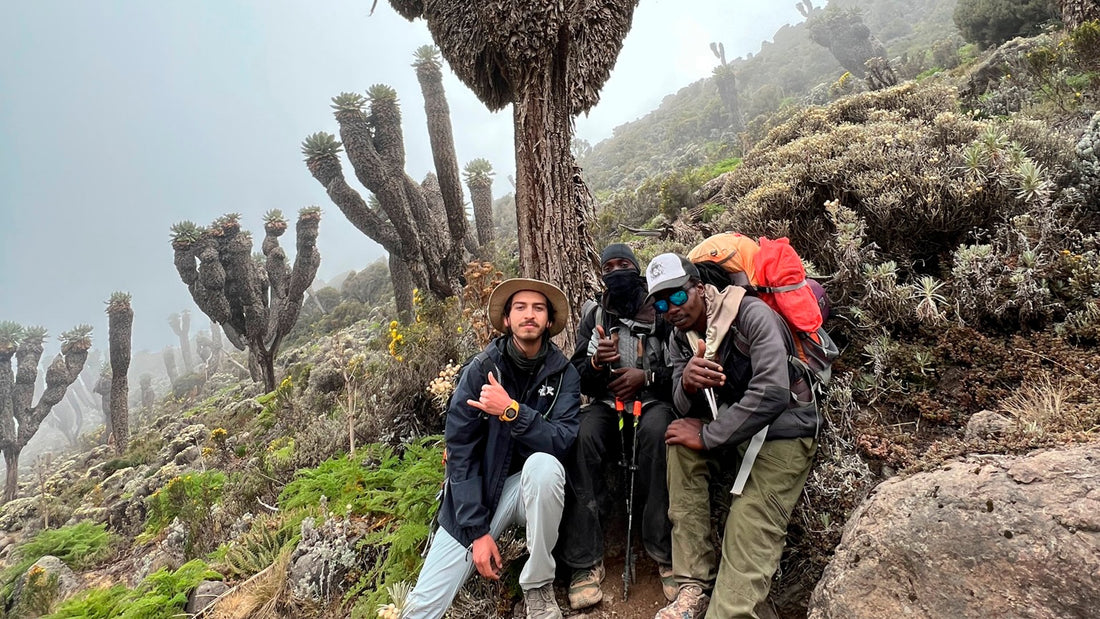 Monte Kilimanjaro: Una Aventura Inolvidable en la Cumbre de África - OjoDeToro